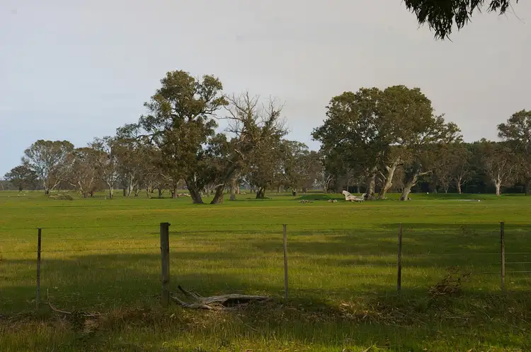 Sixth view of Homely rural property listing, 199 Casterton Dartmoor Road, Casterton VIC 3311