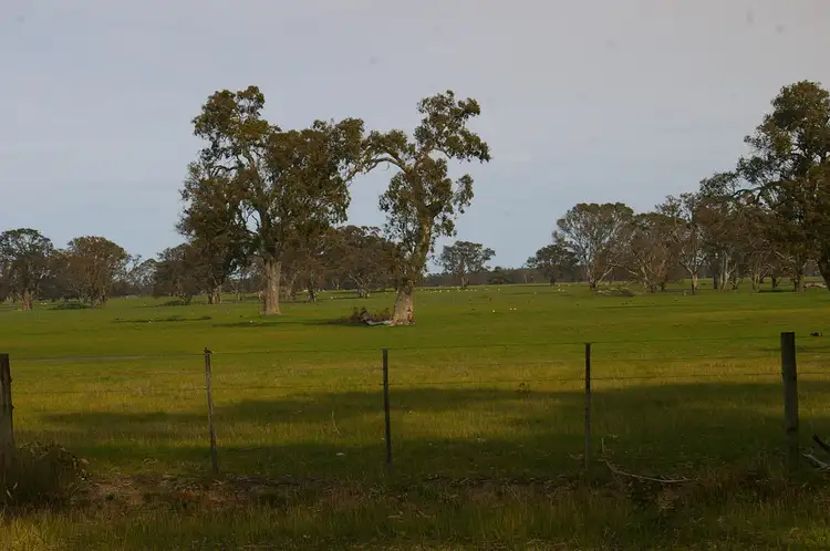 Seventh view of Homely rural property listing, 199 Casterton Dartmoor Road, Casterton VIC 3311