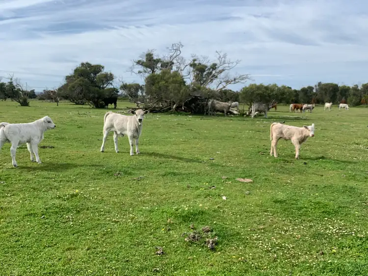 Sixth view of Homely rural property listing, 414 Rodgers Road, Uduc WA 6220