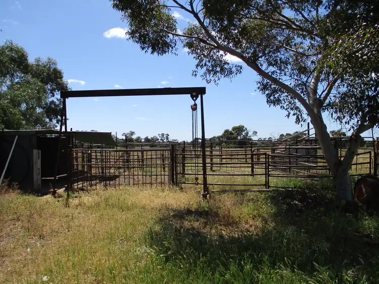 Fourth view of Homely rural property listing, 320 Lomandra Road, Elwomple SA 5260