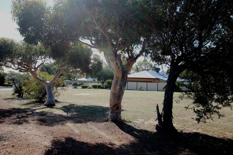 Fifth view of Homely land listing, 8 Recreation Rd, Waroona WA 6215
