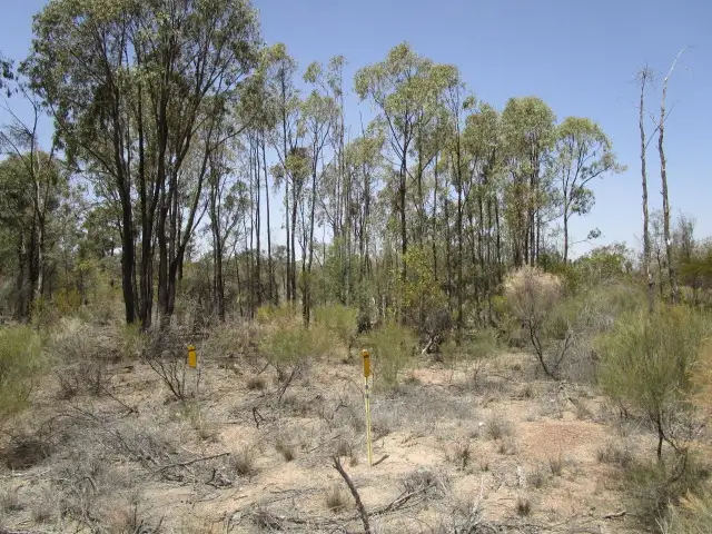 Third view of Homely rural property listing, LOT 4 GORANBA LANE, Tara QLD 4421