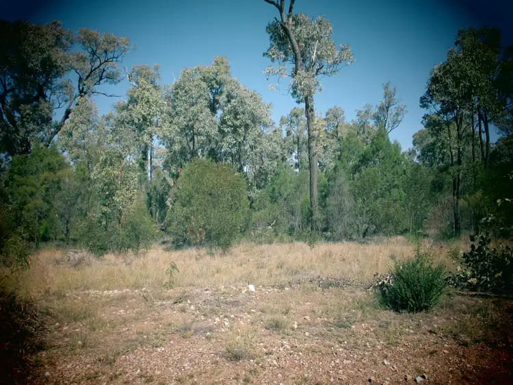 LOT 94 FAGANS ROAD, Tara QLD 4421