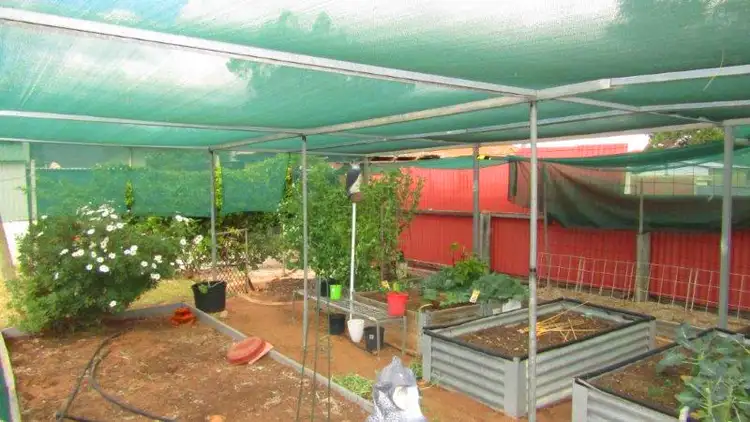 Fourth view of Homely house listing, 6 Don Elliott Drive, Waikerie SA 5330