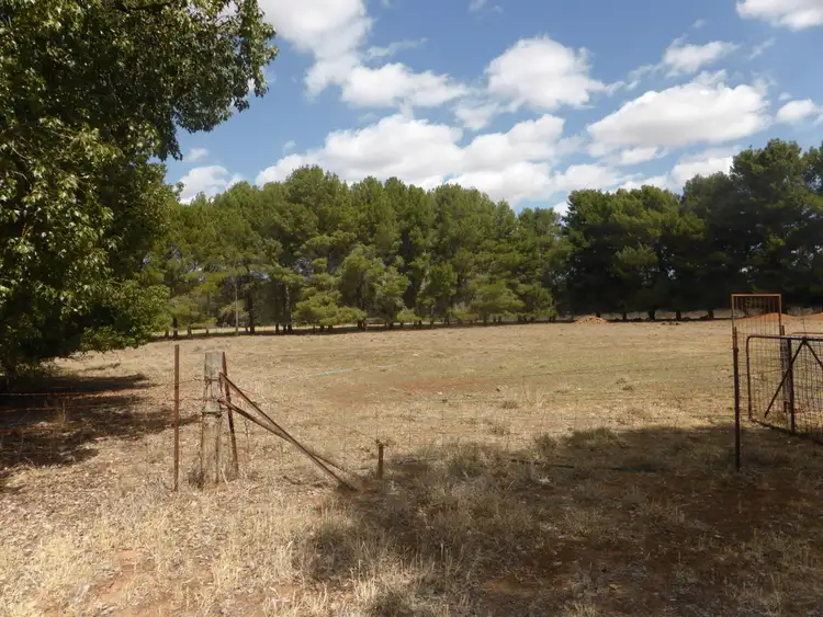 51 Parkesborough Road, Parkes NSW 2870