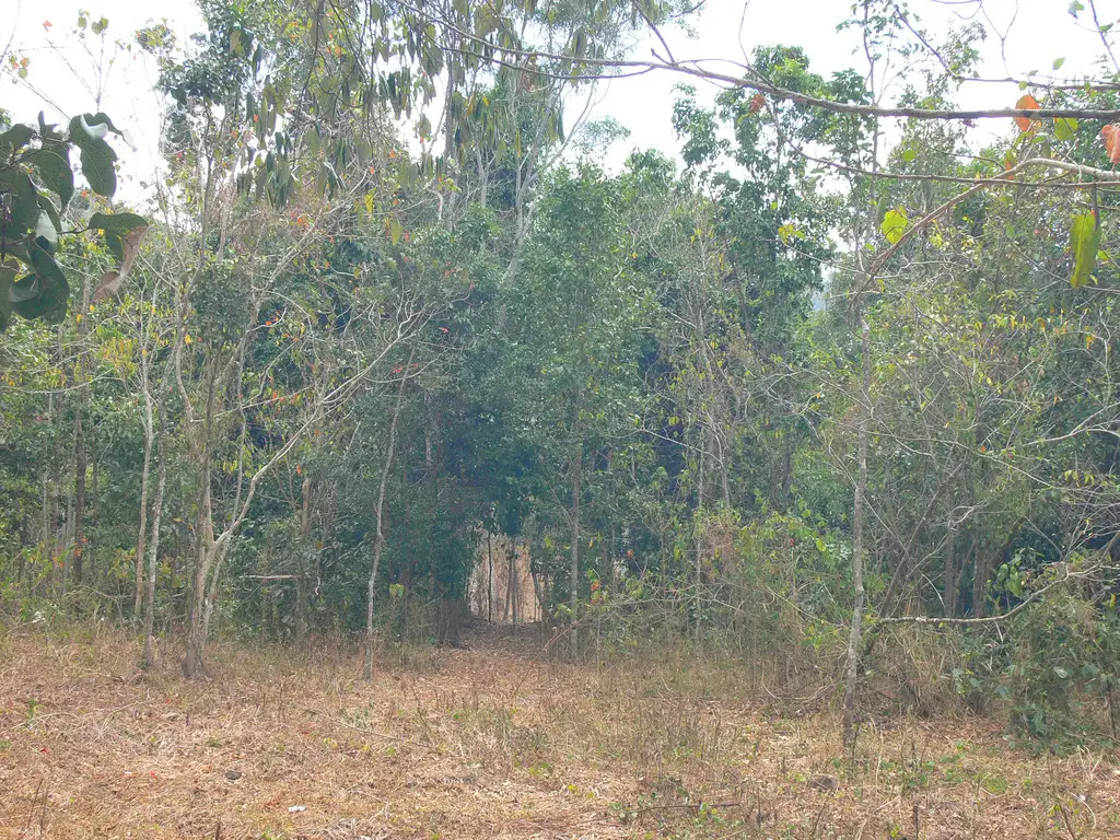 Main view of Homely land listing, 2/9 Timberland Road, Jubilee Pocket QLD 4802