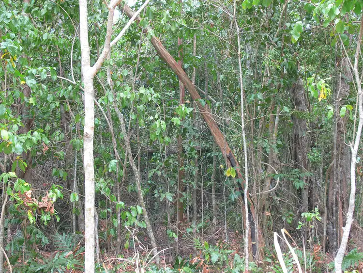 Fifth view of Homely land listing, 2/9 Timberland Road, Jubilee Pocket QLD 4802