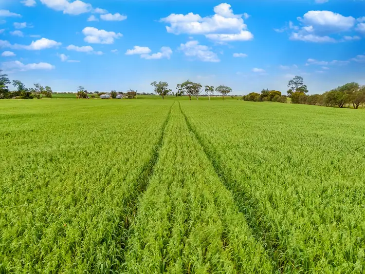 Fourth view of Homely rural property listing, Lot 40 Bremer Station Road, Strathalbyn SA 5255
