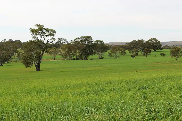 Second view of Homely rural property listing, A21 Jutland Road, Springton SA 5235