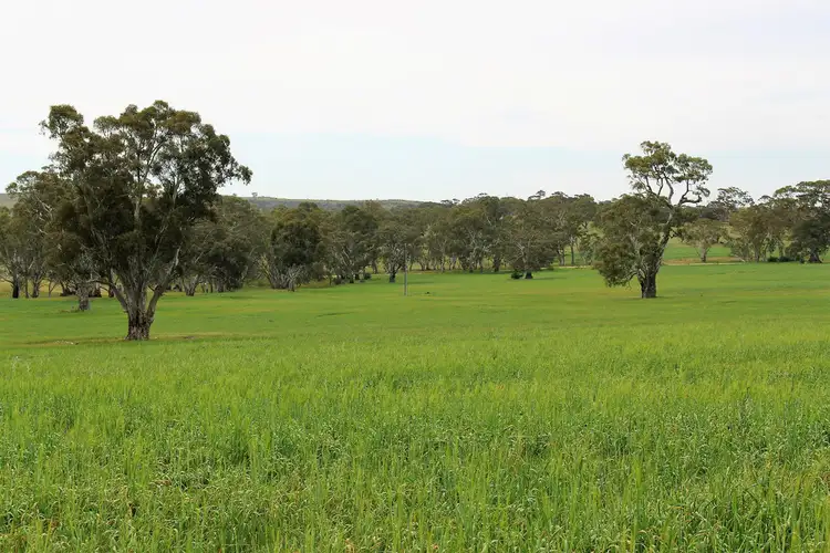 Fourth view of Homely rural property listing, A21 Jutland Road, Springton SA 5235