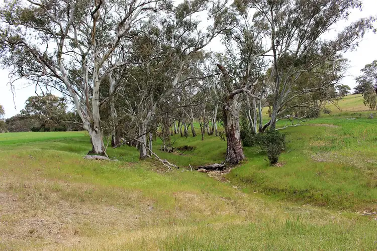 Fifth view of Homely rural property listing, A21 Jutland Road, Springton SA 5235