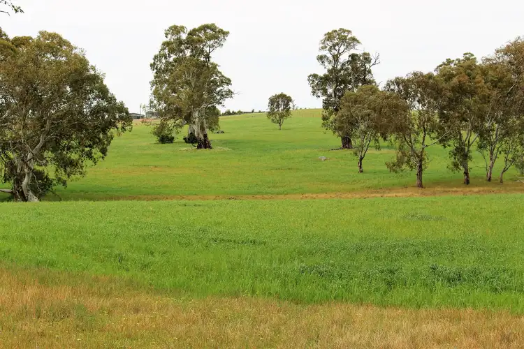 Sixth view of Homely rural property listing, A21 Jutland Road, Springton SA 5235