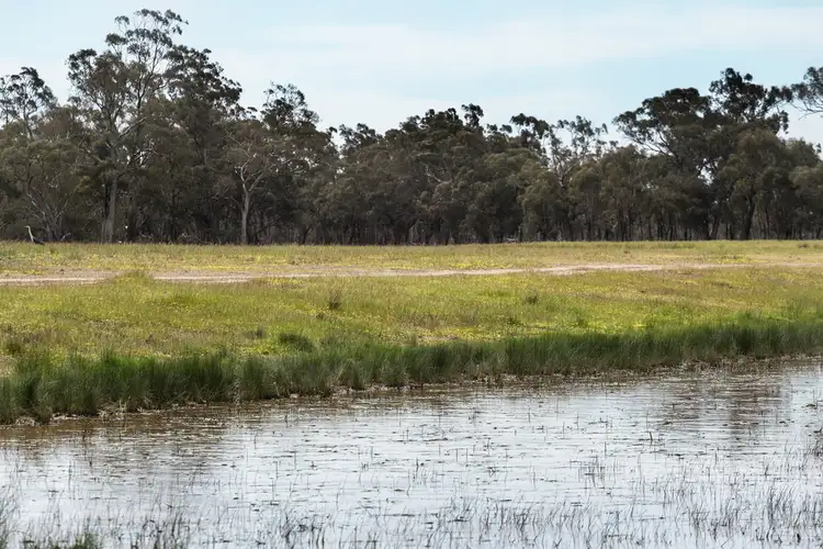 Seventh view of Homely rural property listing, 201 Brooms Road, Kotupna VIC 3638