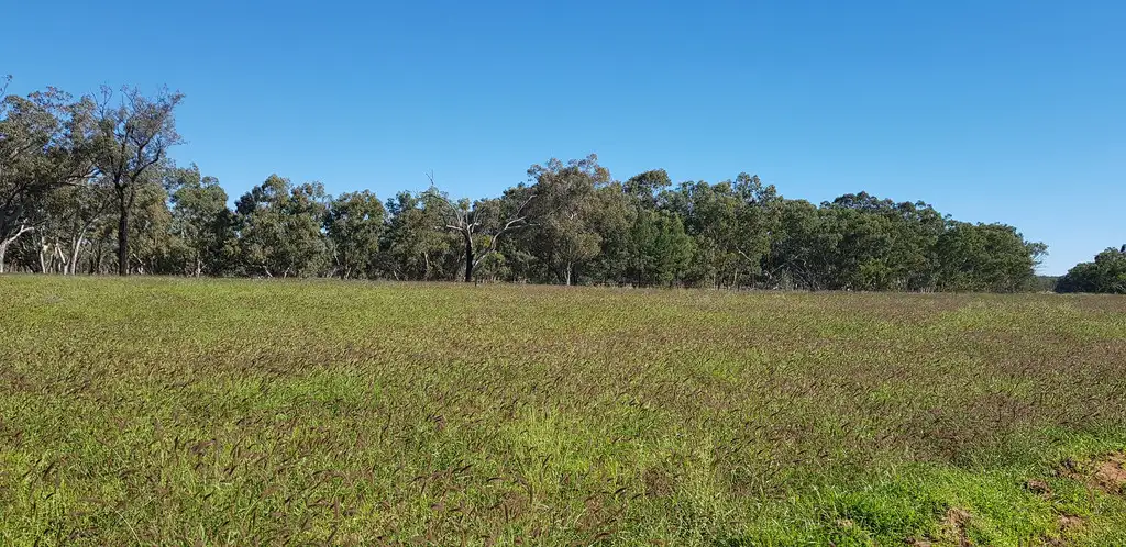 Main view of Homely rural property listing, .. Mount Owen Road, Mitchell QLD 4465