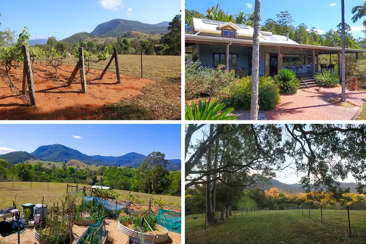 Seventh view of Homely house listing, 46 Blade Road, Nimbin NSW 2480