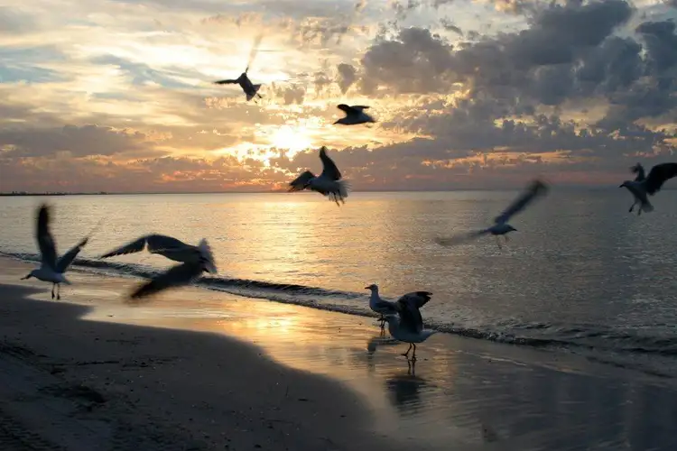 Seventh view of Homely land listing, 43 Spinnaker Boulevard, Geographe WA 6280