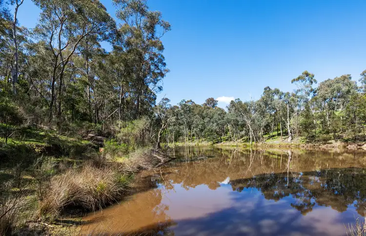 Second view of Homely rural property listing, 139-141 Brysons Road, Wonga Park VIC 3115