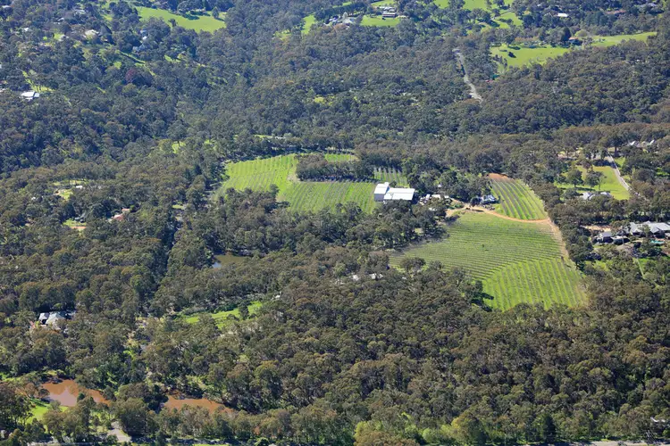 Fifth view of Homely rural property listing, 139-141 Brysons Road, Wonga Park VIC 3115