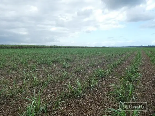 Second view of Homely rural property listing, Address available on request