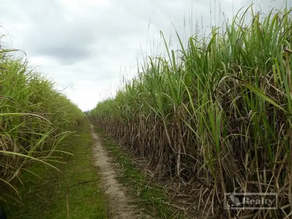 Third view of Homely rural property listing, Address available on request