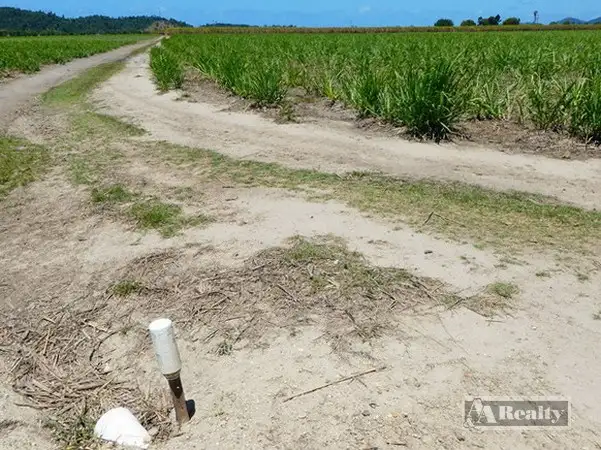 Fourth view of Homely rural property listing, Address available on request