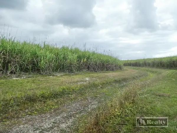 Fifth view of Homely rural property listing, Address available on request