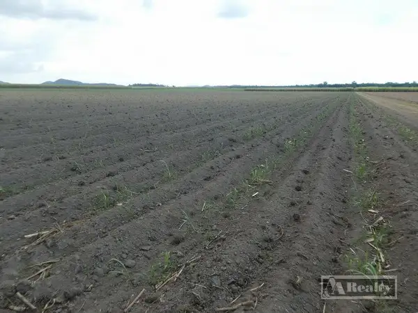 Sixth view of Homely rural property listing, Address available on request