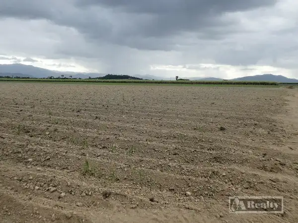 Seventh view of Homely rural property listing, Address available on request