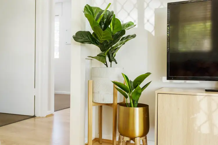 Sixth view of Homely apartment listing, 9/38 Carrington Street, Inglewood WA 6052