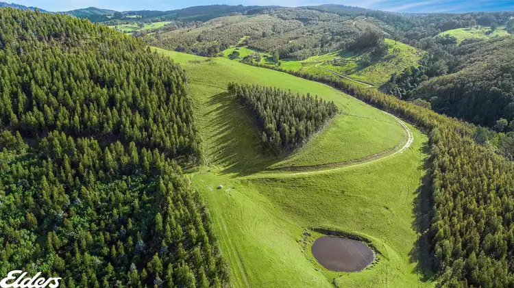 Main view of Homely rural property listing, 1435 Tarra Valley Road, Tarra Valley VIC 3971