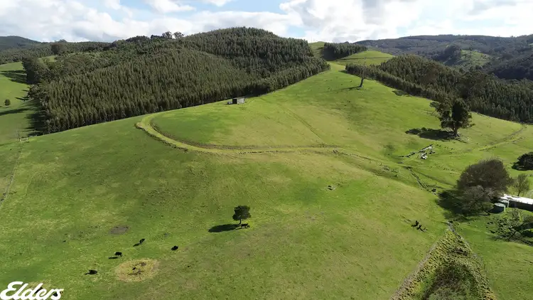 Second view of Homely rural property listing, 1435 Tarra Valley Road, Tarra Valley VIC 3971