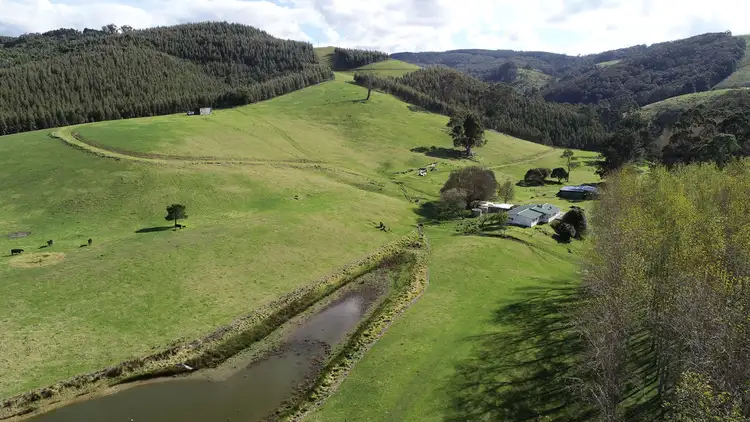 Fourth view of Homely rural property listing, 1435 Tarra Valley Road, Tarra Valley VIC 3971