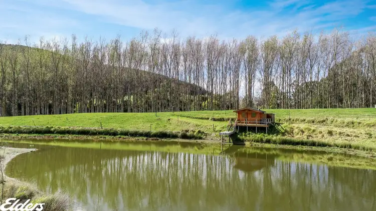 Fifth view of Homely rural property listing, 1435 Tarra Valley Road, Tarra Valley VIC 3971