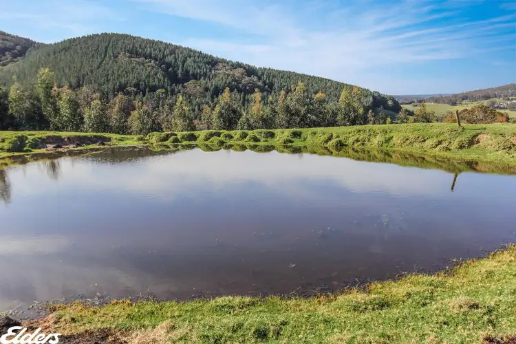Sixth view of Homely rural property listing, 1435 Tarra Valley Road, Tarra Valley VIC 3971