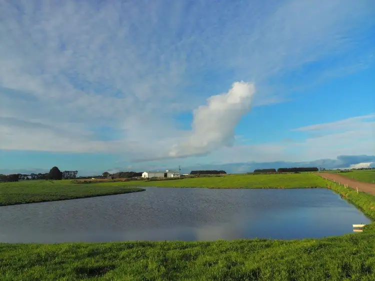 Seventh view of Homely rural property listing, 393 Cooramook Road, Grassmere VIC 3281