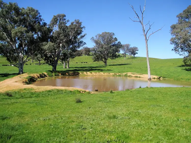 Sixth view of Homely rural property listing, 2222 Goulburn Valley Hwy, Alexandra VIC 3714