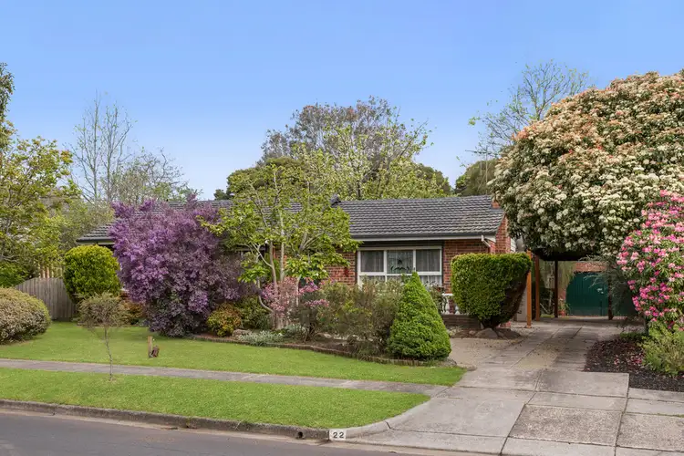 Main view of Homely house listing, 22 Paterson Street, Croydon North VIC 3136