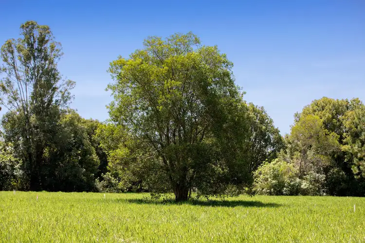 Third view of Homely land listing, Lot 10 Discovery, Glass House Mountains QLD 4518