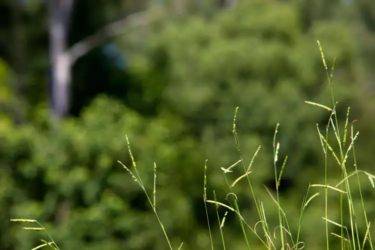 Sixth view of Homely land listing, Lot 10 Discovery, Glass House Mountains QLD 4518