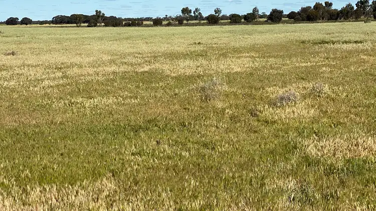 Main view of Homely rural property listing, Sect 75 & 76 Karralta Road, Cooke Plains SA 5261