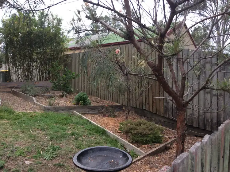 Second view of Homely house listing, 48 Silkyoak Drive, Morayfield QLD 4506