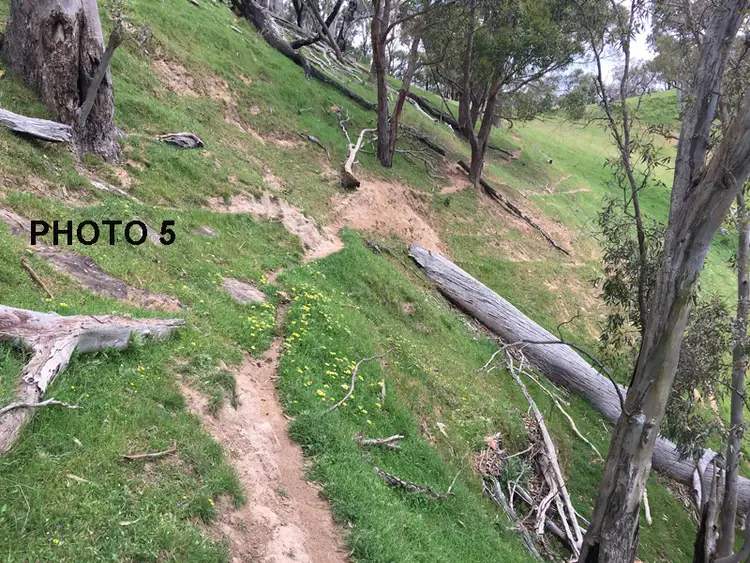 Sixth view of Homely rural property listing, Lot 174 Isaac Road, Cudlee Creek SA 5232