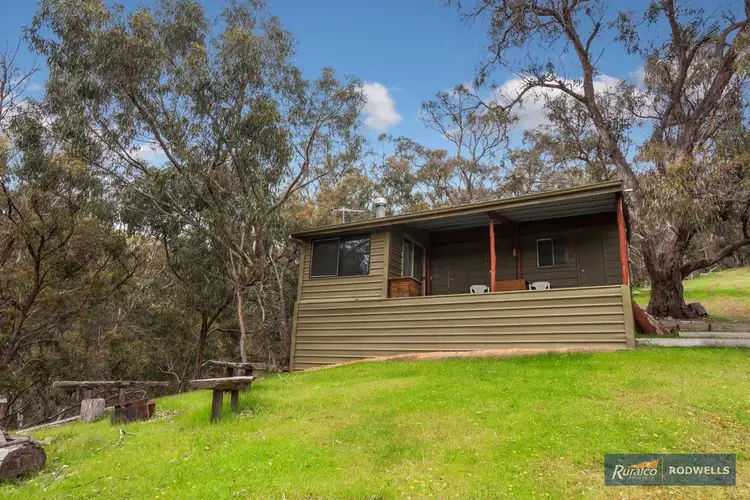 Second view of Homely rural property listing, 210 Horans Track, Strath Creek VIC 3658