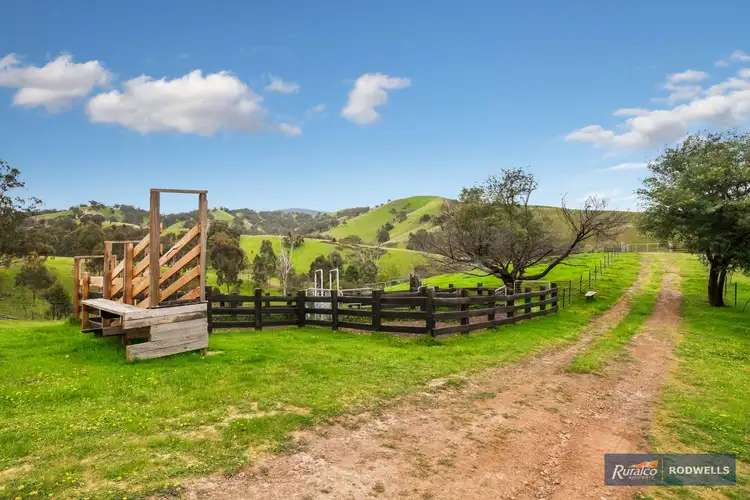 Fifth view of Homely rural property listing, 210 Horans Track, Strath Creek VIC 3658