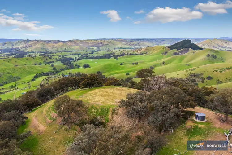 Seventh view of Homely rural property listing, 210 Horans Track, Strath Creek VIC 3658