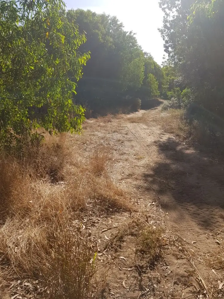 Fourth view of Homely land listing, 0 Poppis Road, Forrest Beach QLD 4850