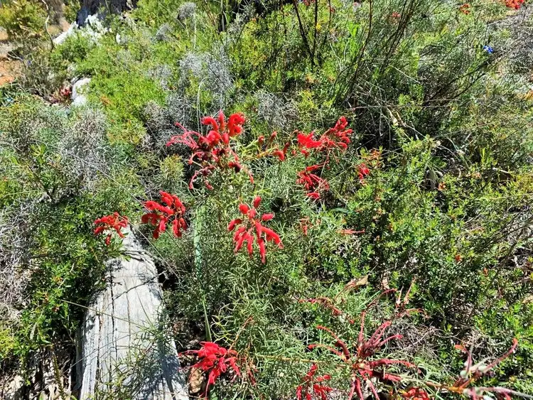 Second view of Homely land listing, Address available on request