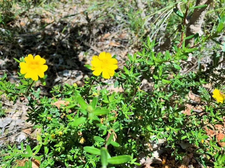 Fourth view of Homely land listing, Address available on request