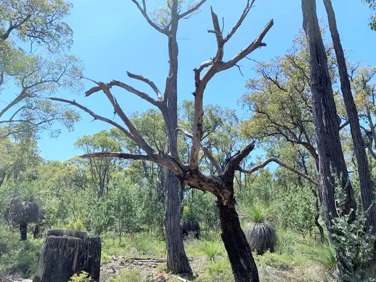 Fifth view of Homely land listing, Address available on request