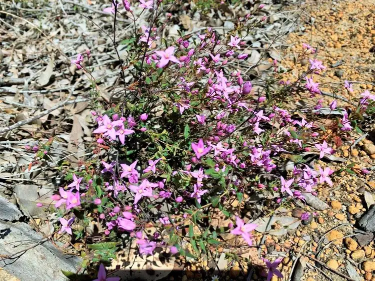 Sixth view of Homely land listing, Address available on request